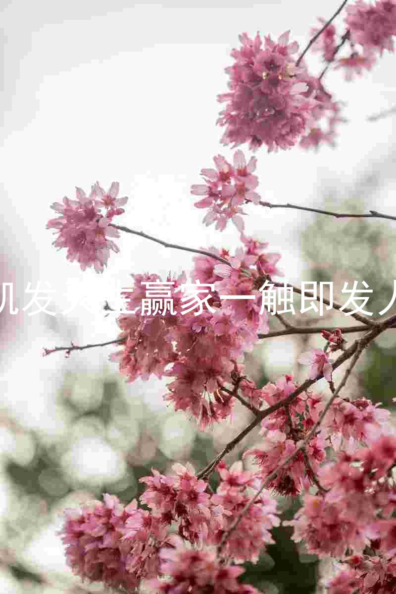 k8凯发天生赢家一触即发人生